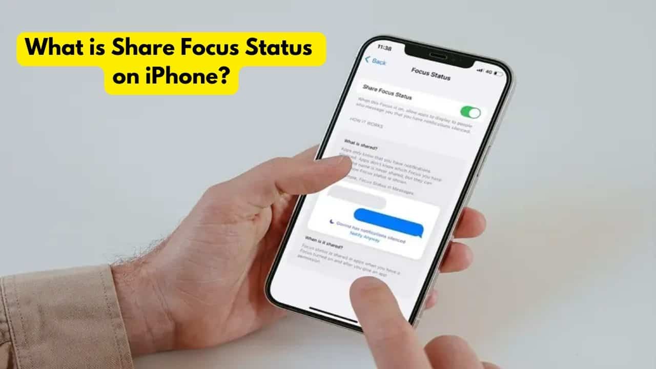 What Is Share Focus Status